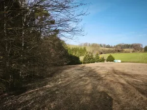 Prodej pozemku pro bydlení, Slapy, 2924 m2