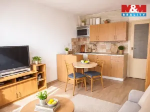 Pronájem bytu 1+kk, Strakonice - Strakonice I, Mlýnská, 26 m2