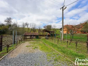 Prodej vinného sklepa, Čejč, 198 m2