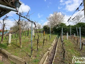 Prodej vinného sklepa, Čejč, 198 m2