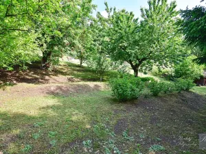 Prodej chaty, Dolní Zálezly, 37 m2