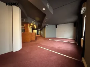 Pronájem obchodního prostoru, Plzeň, Koterovská, 168 m2