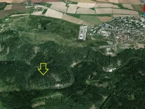 Prodej lesa, Tábor, 16969 m2