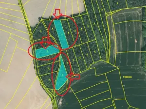 Prodej lesa, Milavče, 5759 m2