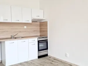 Pronájem bytu 1+kk, Havířov - Šumbark, Letní, 29 m2