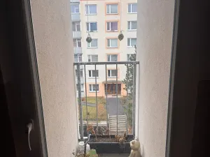 Pronájem bytu 1+1, Liberec, Zámecký vrch, 36 m2