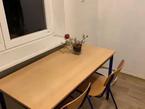 Pronájem bytu 3+1, Prostějov, Milíčova, 71 m2