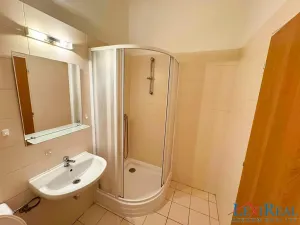 Pronájem bytu 1+1, Praha - Nusle, Bělehradská, 33 m2