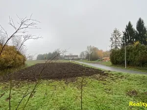 Prodej zemědělské usedlosti, Milevsko, 105 m2