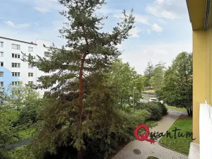 Pronájem bytu 2+1, Praha - Záběhlice, Sasanková, 58 m2