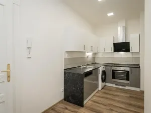 Pronájem bytu 2+kk, Praha - Vinohrady, Mánesova, 52 m2