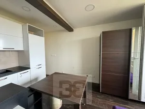 Pronájem bytu 1+kk, Brno, 25 m2