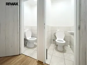 Pronájem atypického bytu, Drahelčice, V Brance, 164 m2