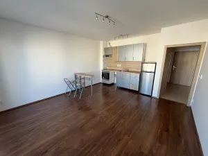 Pronájem bytu 2+kk, Praha - Letňany, Frýdecká, 52 m2