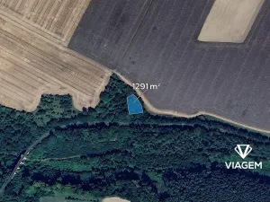 Prodej pole, Mšeno, 1291 m2