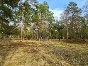 Prodej pozemku pro bydlení, Hranice, 10095 m2