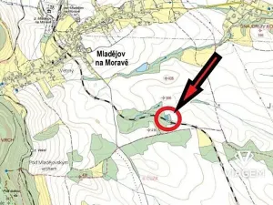 Prodej podílu lesa, Mladějov na Moravě, 1594 m2