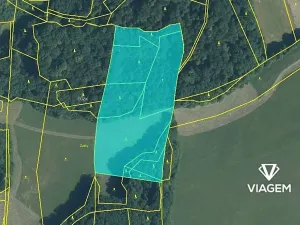 Prodej podílu lesa, Tichá, 6435 m2