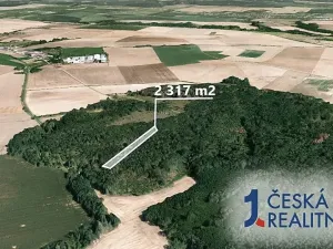 Prodej podílu lesa, Rybníky, 2317 m2