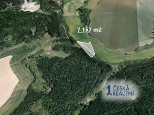 Prodej podílu lesa, Velká Bíteš, 1431 m2