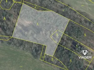 Prodej podílu lesa, Nosálov, 3167 m2