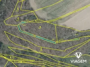 Prodej lesa, Kaceřov, 306 m2