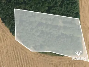 Prodej podílu lesa, Seloutky, 1150 m2