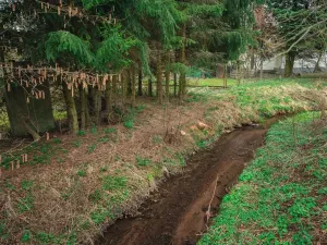 Prodej rodinného domu, Moravská Třebová, 130 m2
