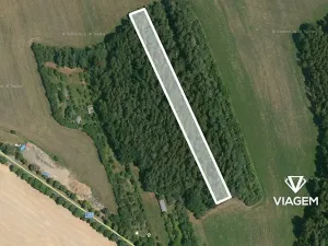 Prodej podílu lesa, Koloveč, 427 m2