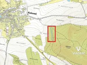 Prodej podílu lesa, Koloveč, 859 m2