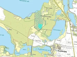 Prodej podílu lesa, Veselí nad Lužnicí, 20552 m2