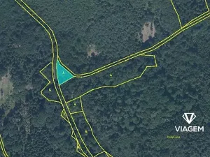 Prodej podílu lesa, Hrabyně, 20046 m2