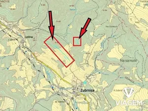 Prodej podílu lesa, Zubrnice, 2835 m2