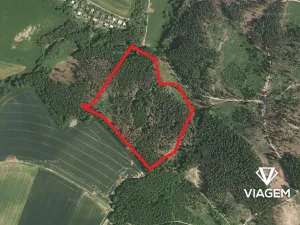 Prodej podílu lesa, Katov, 3762 m2