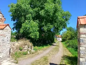 Prodej komerční nemovitosti, Pavlov, Lidická, 659 m2