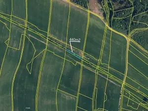 Prodej pole, Borovnice, 2939 m2