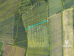 Prodej podílu pole, Boršice, 856 m2