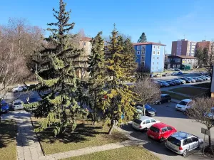 Prodej bytu 3+1, Olomouc, Kmochova, 76 m2