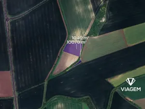 Prodej podílu pole, Bělušice, 1388 m2