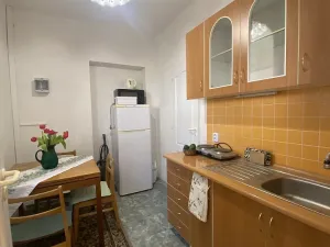 Pronájem bytu 1+1, Slapy, 30 m2