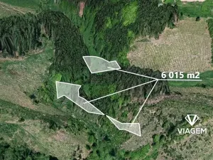 Prodej lesa, Zbizuby, 6015 m2