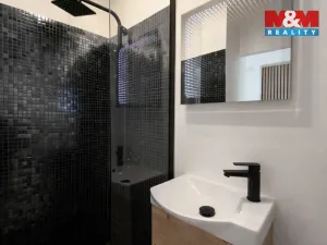 Pronájem bytu 1+1, Havířov - Podlesí, Kosmonautů, 30 m2