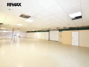 Pronájem obchodního prostoru, Frýdek-Místek, Třebízského, 200 m2