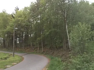 Prodej podílu lesa, Velké Hamry, 2235 m2