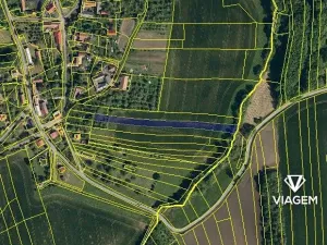 Prodej podílu pole, Dolní Těšice, 1820 m2