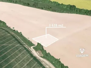 Prodej pole, Rapotín, 3638 m2