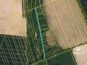 Prodej podílu lesa, Bystřice pod Hostýnem, 597 m2