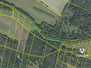 Prodej podílu lesa, Sokoleč, 1999 m2