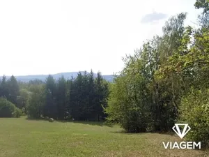 Prodej podílu zahrady, Železný Brod, 2638 m2