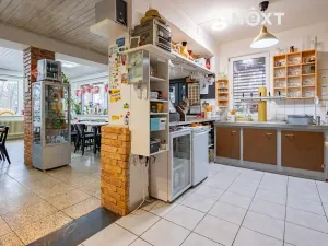 Prodej ubytování, Sezimovo Ústí, Soukeník, 220 m2